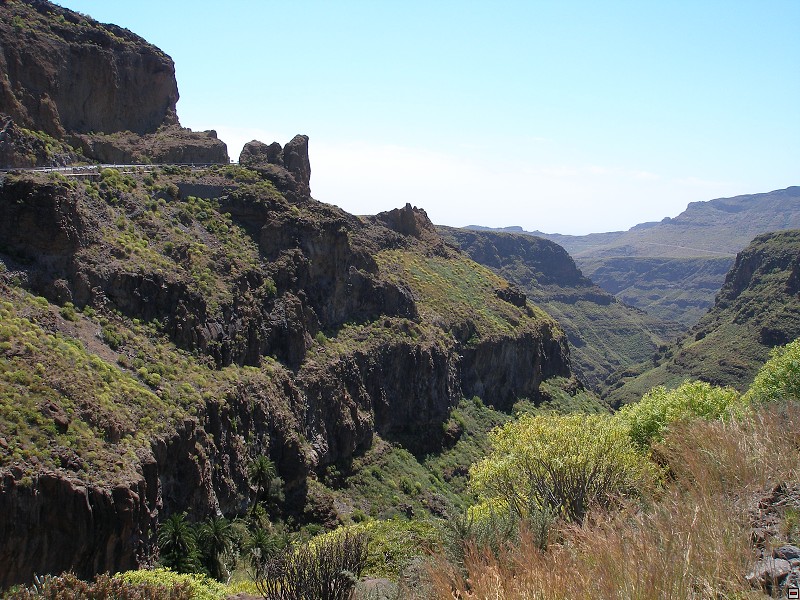 img00009.jpg